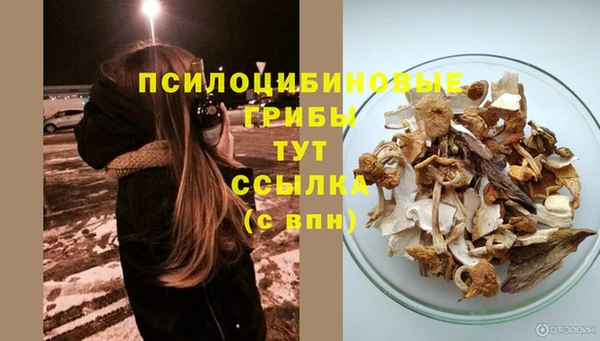 скорость Абинск